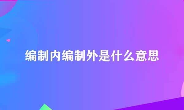 编制内编制外是什么意思