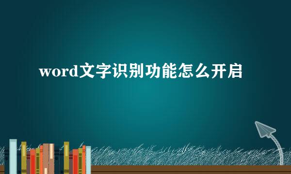 word文字识别功能怎么开启
