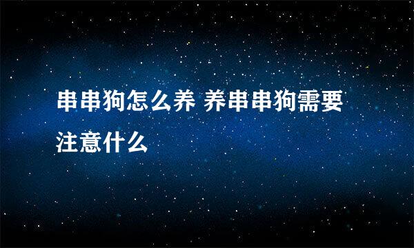 串串狗怎么养 养串串狗需要注意什么