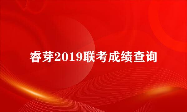 睿芽2019联考成绩查询