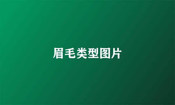 眉毛类型图片