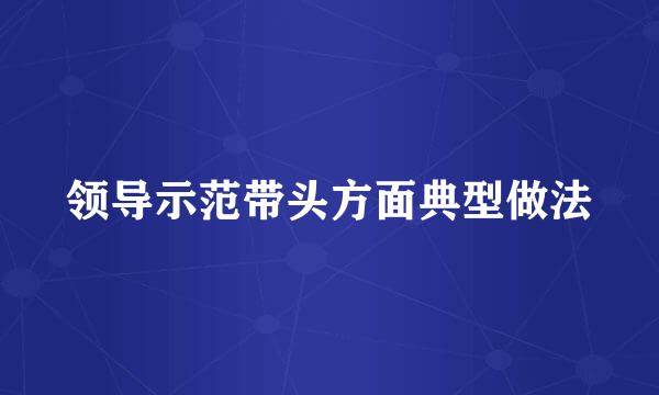 领导示范带头方面典型做法