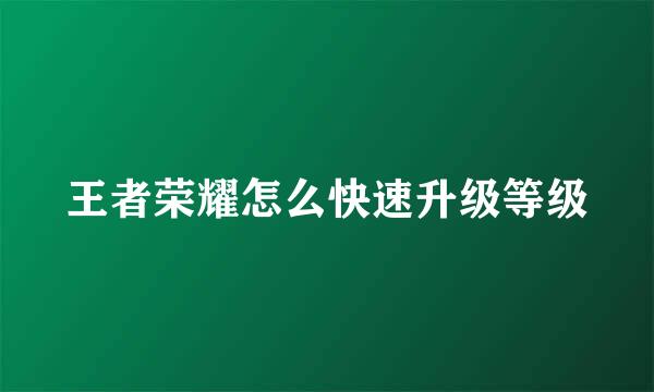 王者荣耀怎么快速升级等级