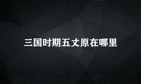 三国时期五丈原在哪里