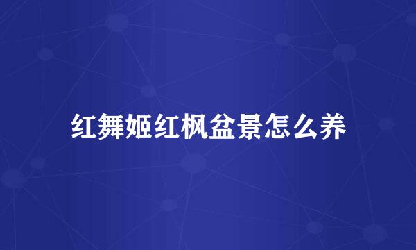 红舞姬红枫盆景怎么养