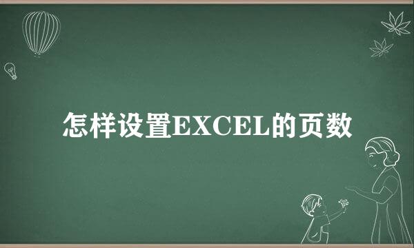 怎样设置EXCEL的页数