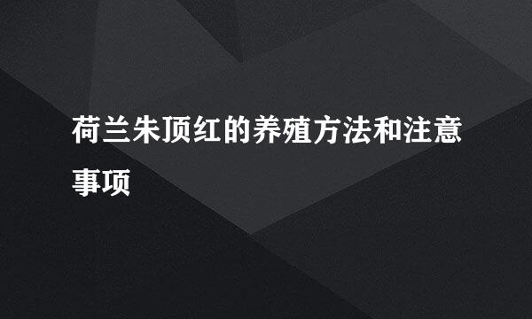 荷兰朱顶红的养殖方法和注意事项