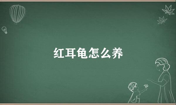 红耳龟怎么养