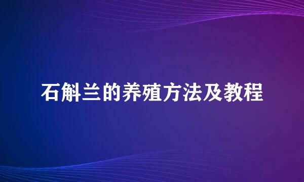 石斛兰的养殖方法及教程