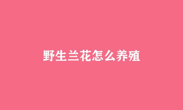 野生兰花怎么养殖