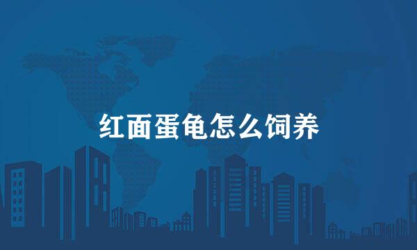 红面蛋龟怎么饲养