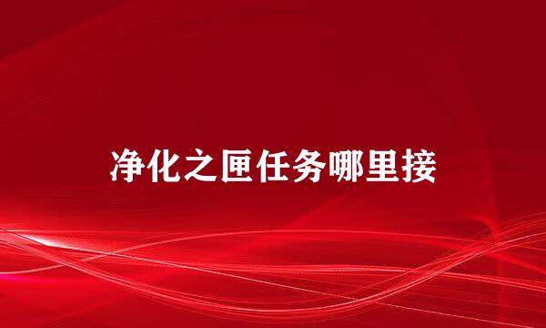 净化之匣任务哪里接