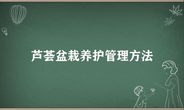 芦荟盆栽养护管理方法