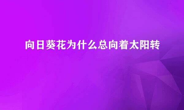 向日葵花为什么总向着太阳转