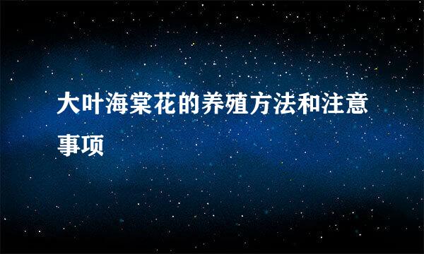 大叶海棠花的养殖方法和注意事项