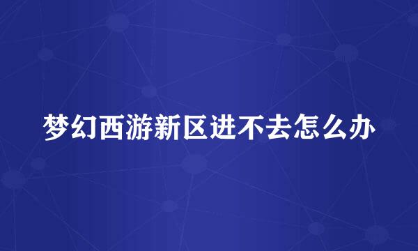 梦幻西游新区进不去怎么办