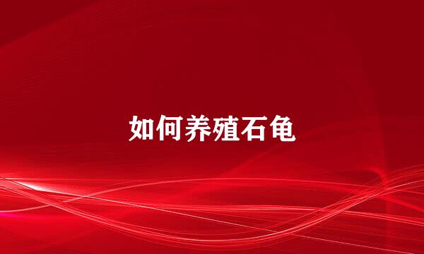 如何养殖石龟