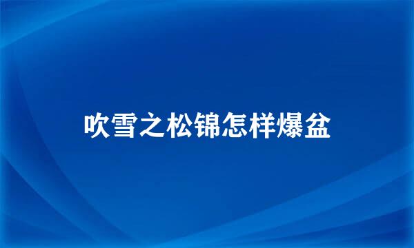 吹雪之松锦怎样爆盆