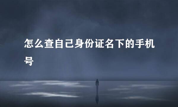怎么查自己身份证名下的手机号