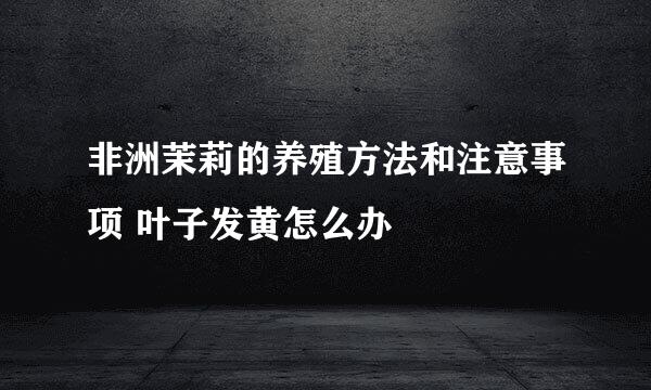 非洲茉莉的养殖方法和注意事项 叶子发黄怎么办