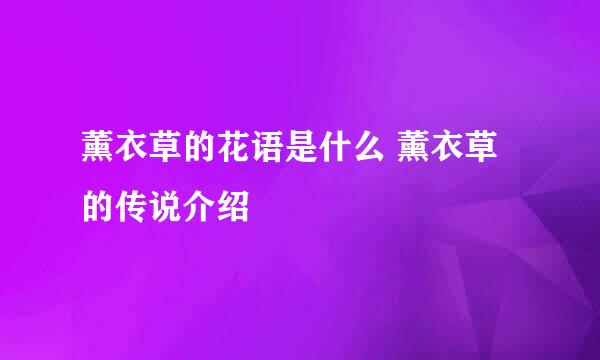 薰衣草的花语是什么 薰衣草的传说介绍