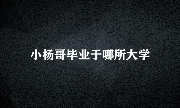 小杨哥毕业于哪所大学