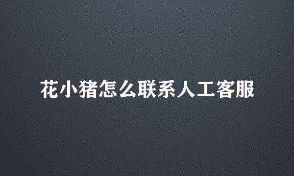 花小猪怎么联系人工客服