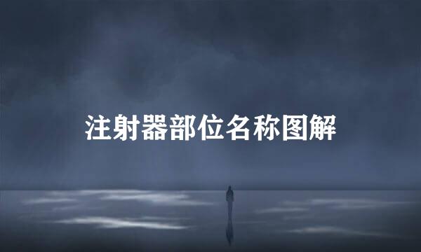 注射器部位名称图解