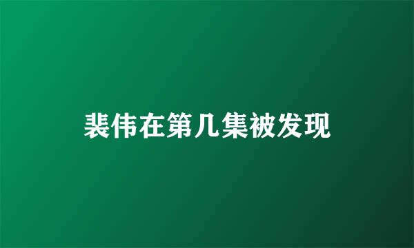 裴伟在第几集被发现