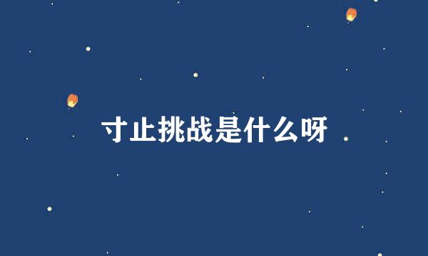 寸止挑战是什么呀