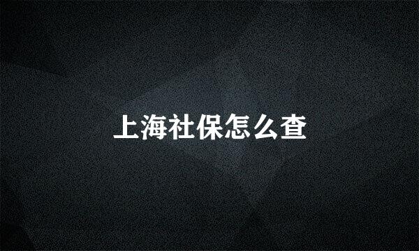 上海社保怎么查