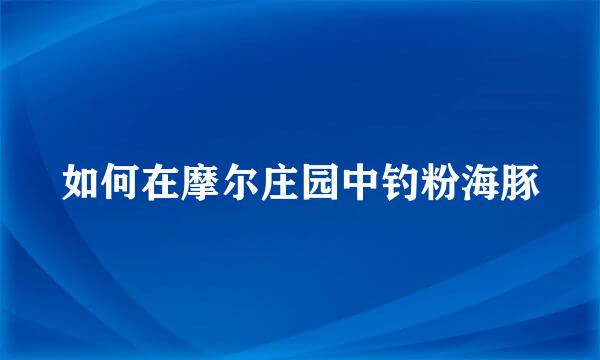 如何在摩尔庄园中钓粉海豚