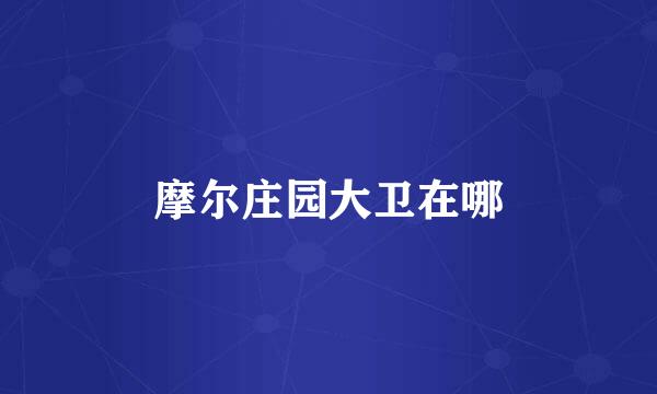 摩尔庄园大卫在哪