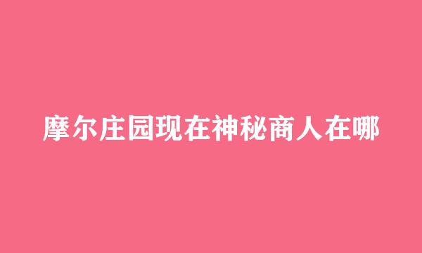 摩尔庄园现在神秘商人在哪