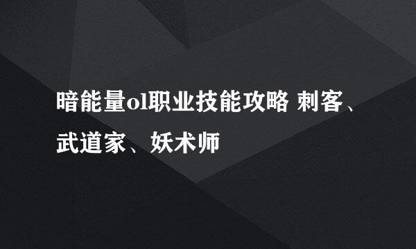 暗能量ol职业技能攻略 刺客、武道家、妖术师