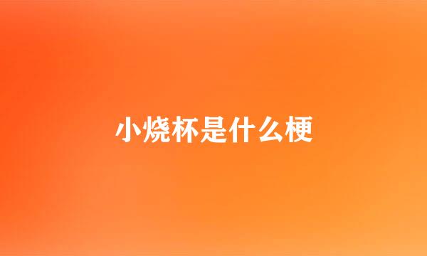 小烧杯是什么梗
