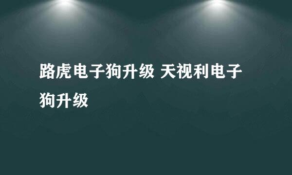 路虎电子狗升级 天视利电子狗升级