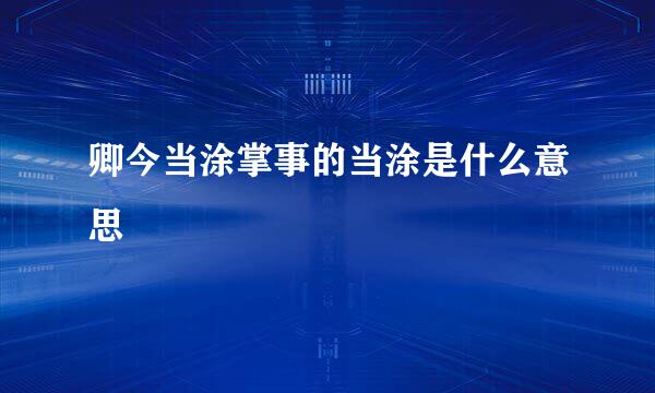 卿今当涂掌事的当涂是什么意思