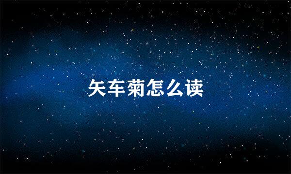 矢车菊怎么读
