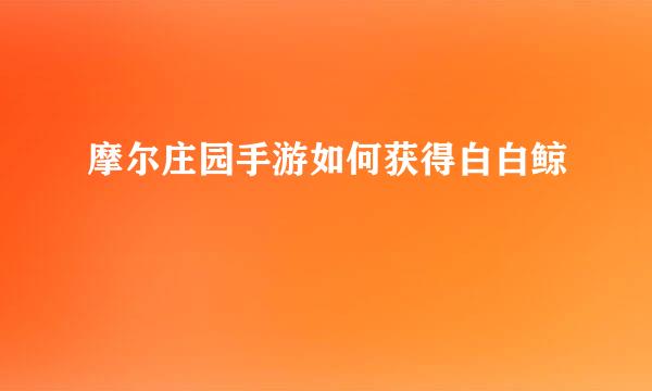 摩尔庄园手游如何获得白白鲸