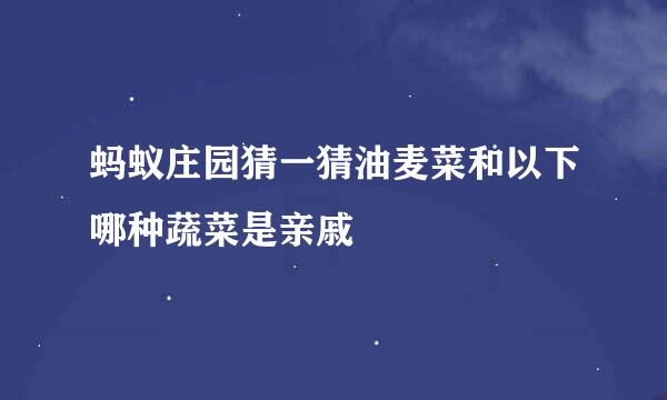 蚂蚁庄园猜一猜油麦菜和以下哪种蔬菜是亲戚