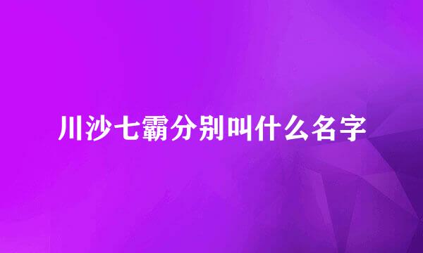 川沙七霸分别叫什么名字