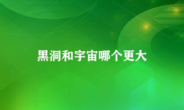 黑洞和宇宙哪个更大