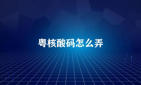 粤核酸码怎么弄