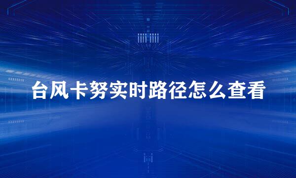 台风卡努实时路径怎么查看
