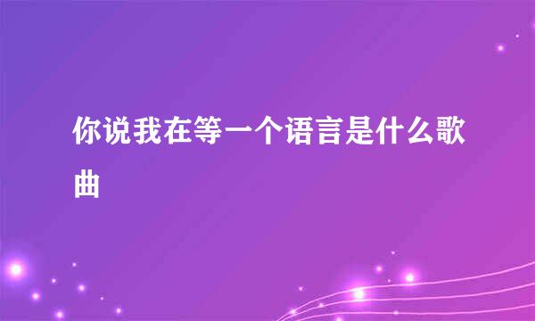 你说我在等一个语言是什么歌曲
