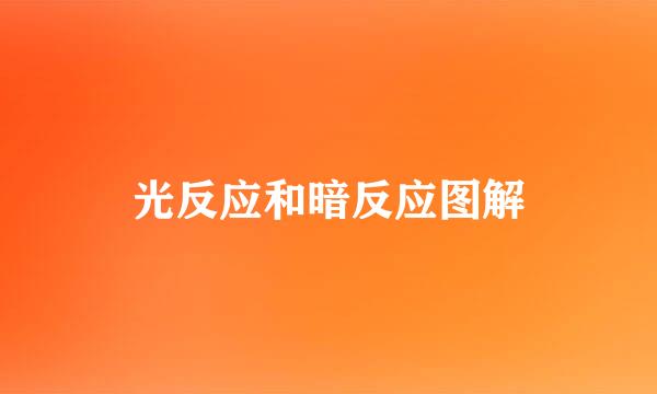 光反应和暗反应图解