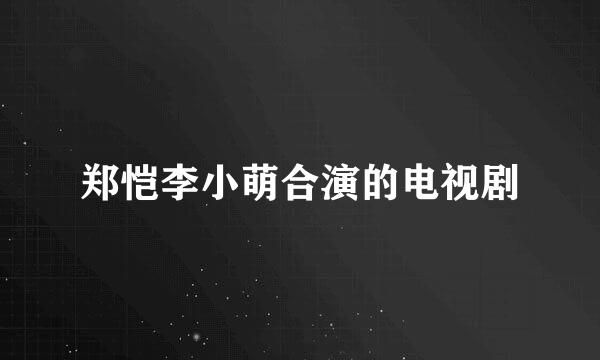 郑恺李小萌合演的电视剧