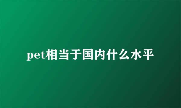 pet相当于国内什么水平