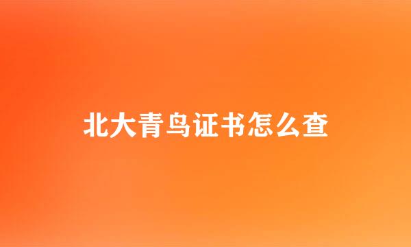北大青鸟证书怎么查